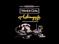 Wande Coal ASHIMAPEYIN Official mp3
