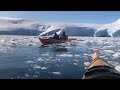 Leopard Seal Sighting Kayaking In Antarctica