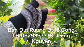 Nhà Đất Bán Đất Ruộng Dt 13 Công Giá 100tr Công/1000m2 Mộc Hóa Long An