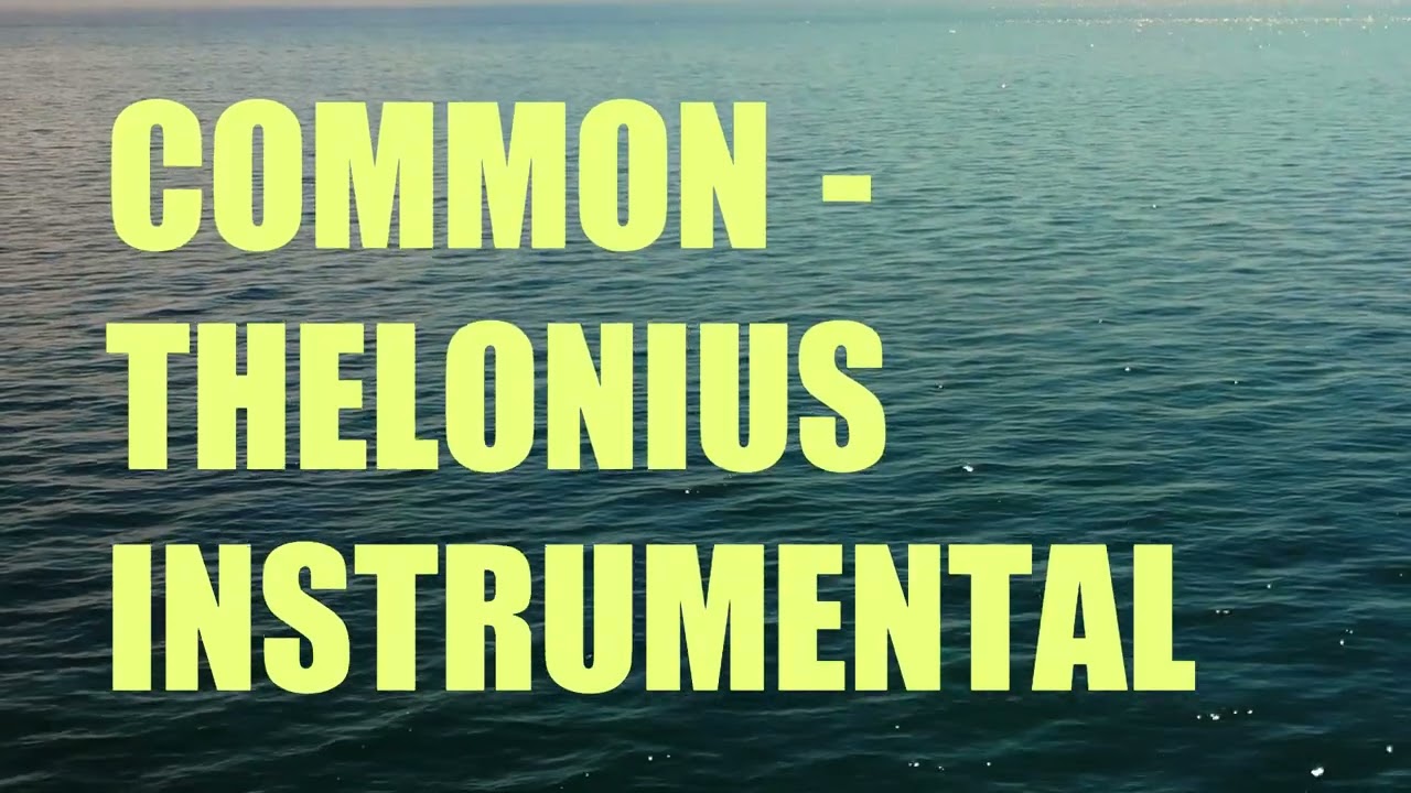 Common - Thelonius Instrumental