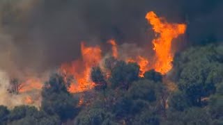 A helicopter shows the view of sandlewood fire from above as it burns
near beaumont, california. (source: kabc)
https://www.abc10.com/article/news/local/...