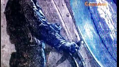 O que deseja o Professor Aronnax quanto ao destino do capitão Nemo?