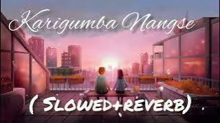 Karigumba_Nangse||AJ_Maisnam_Pushparani||(slowed reverb) _manipuri song  #manipurilofi #slowedreverb