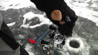 13 fishing ice rods