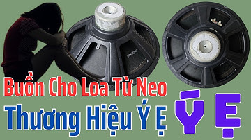 Loa Từ Neo Mất Hết Từ, Thành Loa Không Có Từ