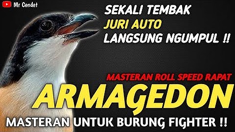NGERIII..!!SEKALI TEMBAK JURI AUTO LANGSUNG NGUMPUL || MASTERAN ROLL SPEED RAPAT ARMAGEDON !!