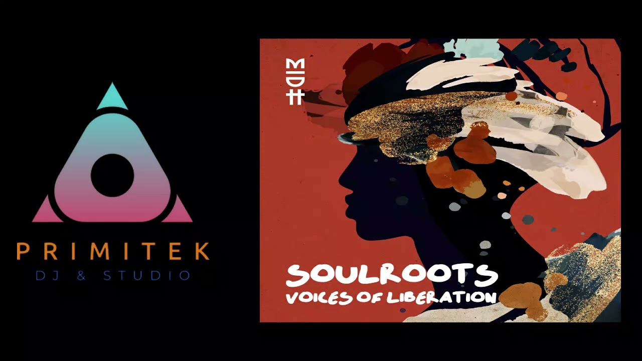soulroots  -  voices of liberation