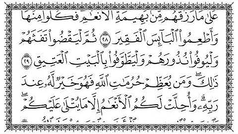 سورة الحج مكتوبة بصوت القارئ سعد الغامدي ...#القرآن_الكريم #سعد_الغامدي