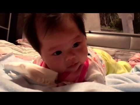 Hannah識抬頭啦！ 2017.04.17