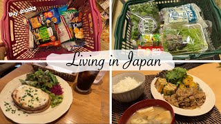 shopping for GW holiday | buy snacks, new pants and cardigan, ginger pork dinner by Linna in Japan 32,468 views 2 weeks ago 20 minutes