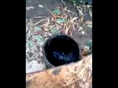 A 25 Foot Long Snake Gets In 4 Inch Drain Pipe And Man A 25 Foot Long Snake Gets In 4 Inch Drain Pipe And Man Uses Dish Detergent To Free It