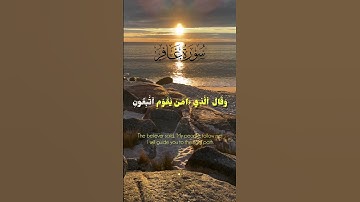 سورة غافر| #quran #تلاوات #explore #راحة_نفسية #تلاوات #قران #اكسبلور