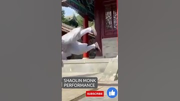 Watch a Shaolin Monk Show You a Skill NEVER KNEW Existed!