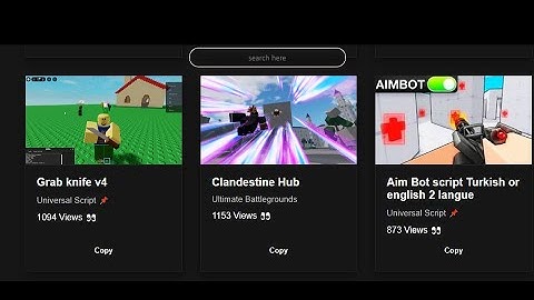 How to add a Working Scripthub In your Roblox Executor😈