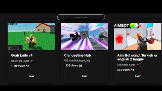 How to add a Working Scripthub In your Roblox Executor😈
