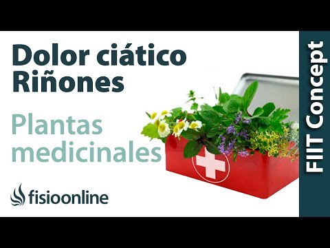 Video: Hierbas Para La Ciática