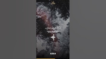 Surah Ibrahim Verse 47 | سورة ابراهيم الآية 47 | Abdun Nasir Khan