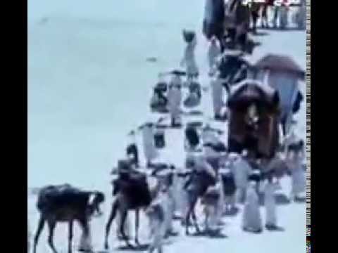 إلى رحاب النبي 
