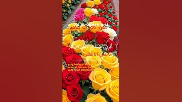 تلاوة كلام الله استمع يرتاح قللبك #اكسبلور #المراه #لايك #المراره #ترند #تيك_توك #الثامن #متابعه #
