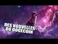 Fin de la correction pour le dogecoin  dogeverse dogecoin cryptomonnaies investissement