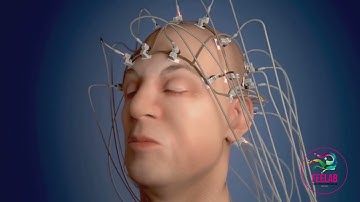 Decoding Microexpressions: A Journey into the Brain by Dr. Freitas-Magalhães, Ph.D.
