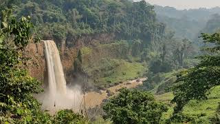 Ékom-Wasserfälle: Schauplatz eines Tarzanfilms