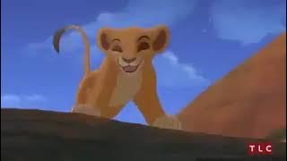 Le Roi Lion Simba dessin animé film complet en francais pour les enfants.