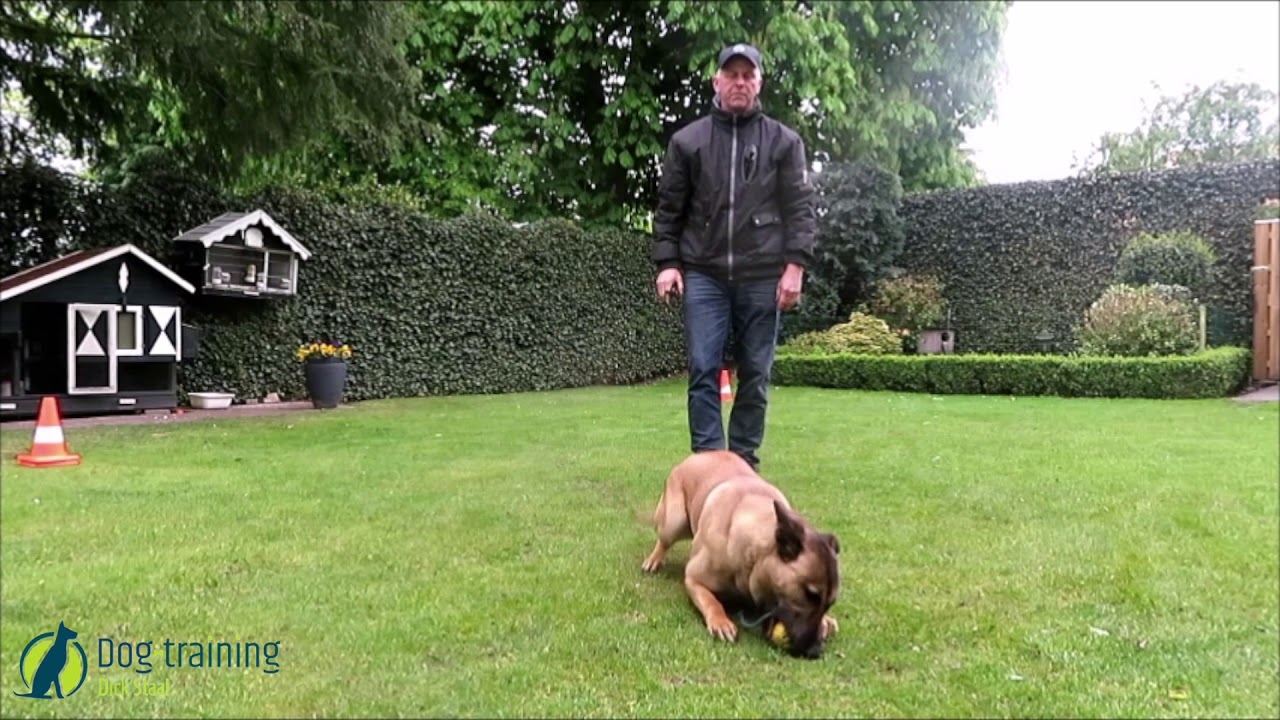 mikki clikka clicker