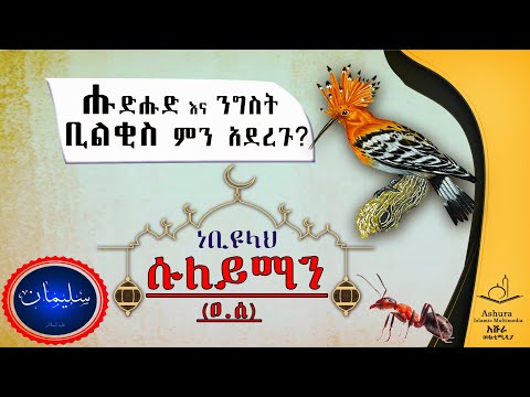 የነቢዩላህ ሱለይማን ዐ ሰ የታላቅ ንግስናቸው ታሪክ The Story Of Prophet Suleiman A S