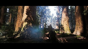 WATU - By Connor Beardmore