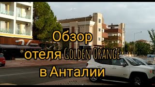 :  Golden Orange  . 
