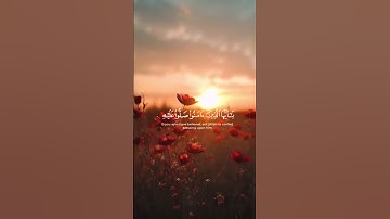 🎧 تلاوة تهز المشاعر وتغمر النفس بالسكينة والإيمان، الصلاة على النبي ﷺ في كل وقت وآن♥️❤️🫶🏻🌿
