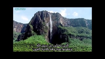 تلاوة تحرك القلوب المتحجرة :  ناصر القطامي