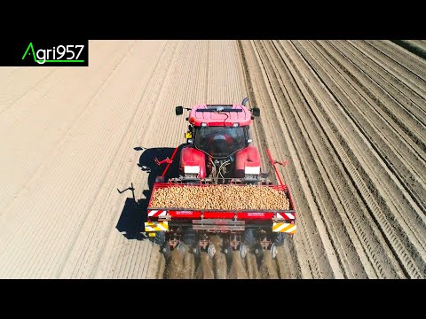 Video: Coltivazione Di Patate Sotto L'erba