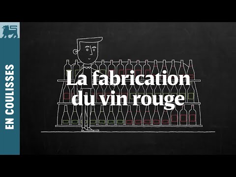 Vidéo: Comment Faire Du Vin Rouge Sec