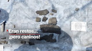 ¿NO SON RESTOS HUMANOS? | Fosa hallada en CDMX por Ceci Flores, tiene restos de origen animal by Azteca Noticias 51,137 views 17 hours ago 58 seconds