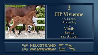 3 - HP Vivienne by Vitalis/Bonds - Helgstrand-Schockemöhle Live Foal Auction on June 4th 2022
