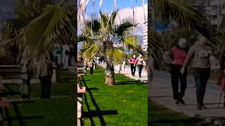 19 Января 21 В Махмутларе. Турция 2023.