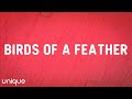 Billie Eilish - BIRDS OF A FEATHER (Lyrics)