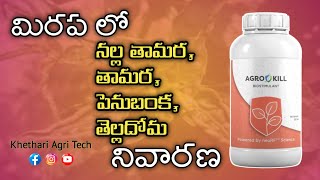 All Sucking Pest Control Like Blackthrips, Thrips, Whiteflys, Aphids in Chilli | khethari agri tech