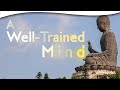 Reset Your Mind and Body: A Conversation with Dr. Erik Peper | Dr. Erik Peper