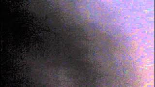 Harmony To My Heartbeat - Sally Seltmann (NehaCovers)