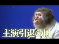 【主演引退の日】世界一可愛いニホンザルが持つ、もうひとつの「世界一」の顔。【泣いてねぇし】