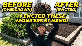 I Served These Overgrown Bushes An Eviction Notice... (BY HAND!)