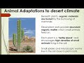 Leaving Cert Geography: The hot desert biome