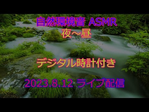 自然環境音 癒し 時計動画 ASMR 23.8.12 2:30 風の音 虫の鳴き声 夜～昼 ライブ配信