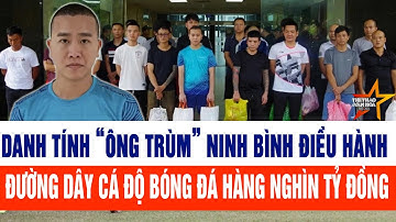 Danh tính “ông trùm” Ninh Bình điều hành đường dây cá độ bóng đá hàng nghìn tỷ đồng
