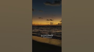 تلاوة خاشعة 🍉🌿❤️ #viral #اكسبلور #المصحف #إسلام #راحة_نفسية #yasseraldossary
