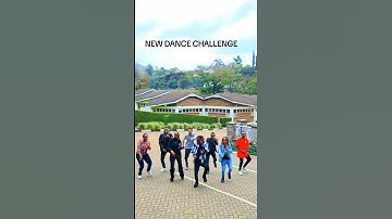 Thumbnail of Willy Paul - Life Is Sweet ( best tik tok challlenge)