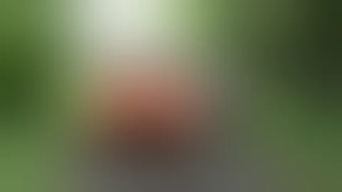 Jak se konzumují rané brambory během léta?